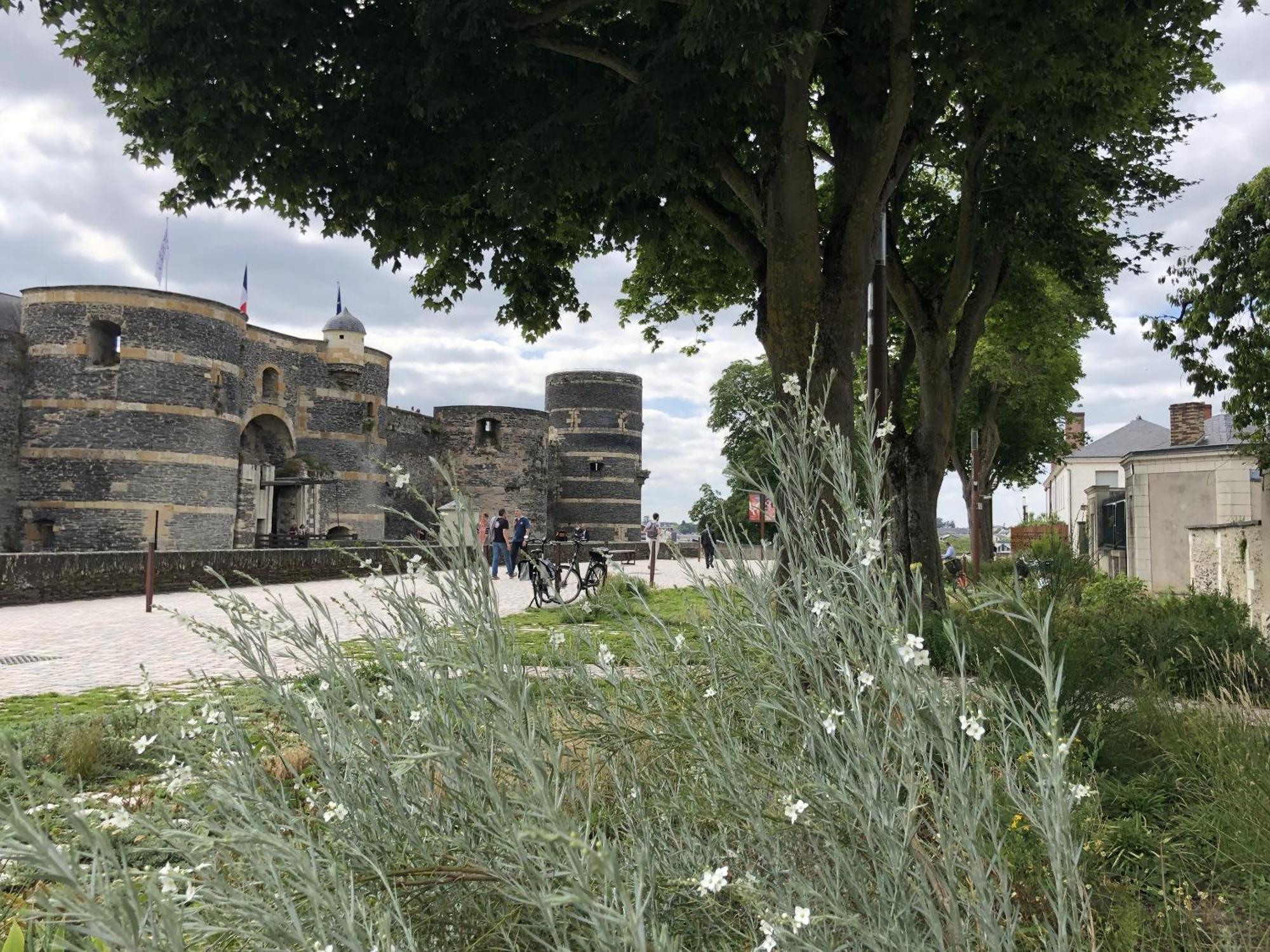Maison Bout Du Monde Angers Hyper Centre Экстерьер фото